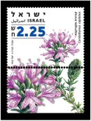 Stamp:Wild thyme (Medicinal Herbs and Spices), designer:Yigal Gabay  Tuvia Kurtz 11/2007
